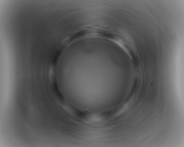 X0000114100127200910051453