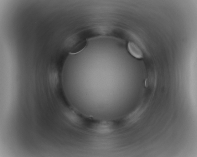 X0000114100128200910051453