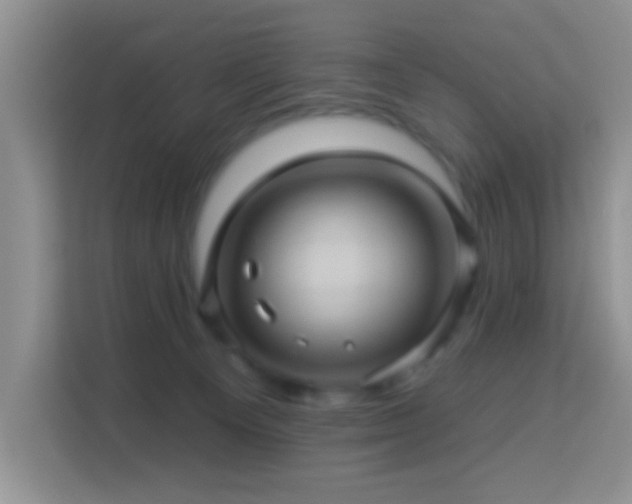 X0000114100129200910051453