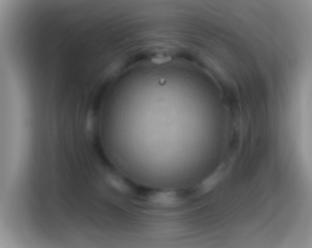 X0000114100132200910051453