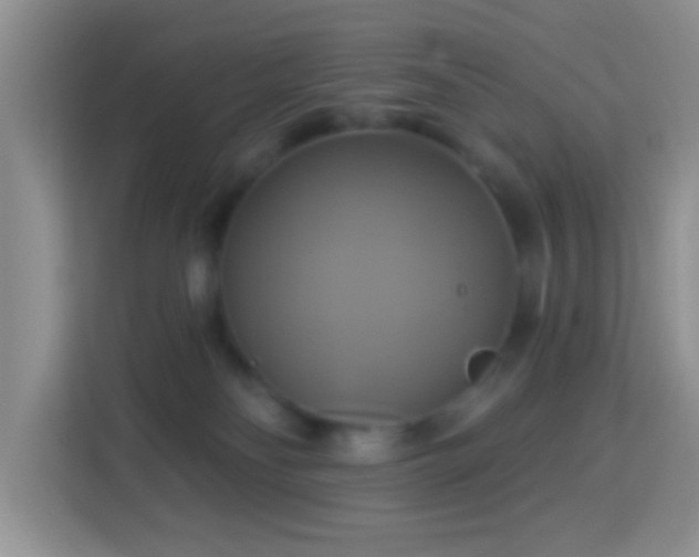 X0000114100134200910051453