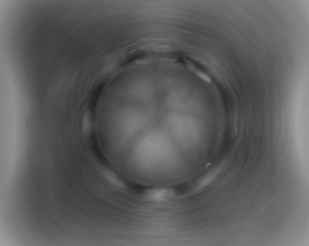 X0000114100135200910051453