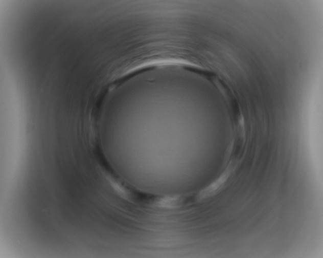 X0000114100136200910051453