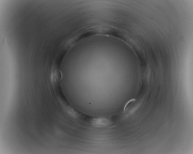 X0000114100137200910051453