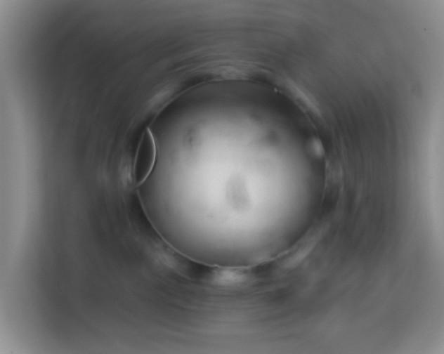 X0000114100141200910051452