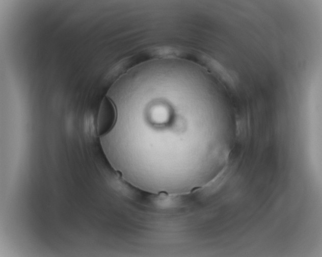 X0000114100142200910051452