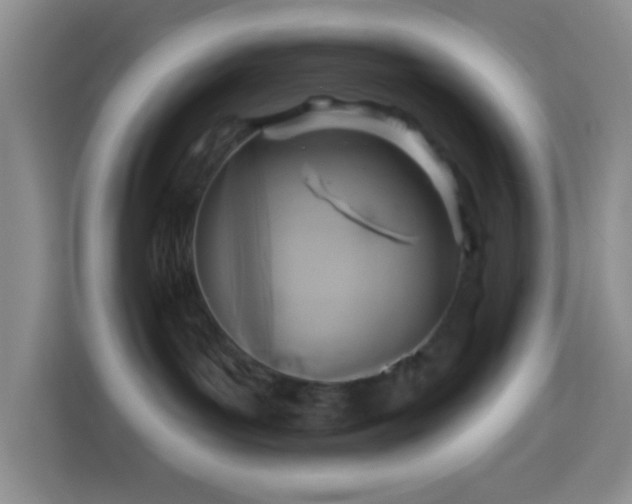 X0000114100143200910051452