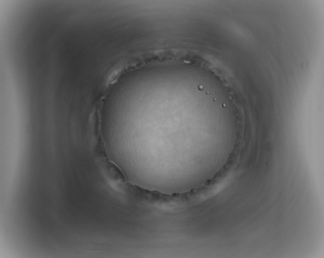 X0000114100144200910051452