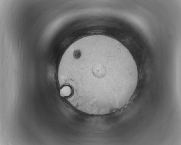 X0000114100146200910051452