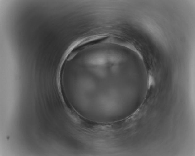 X0000114100147200910051452