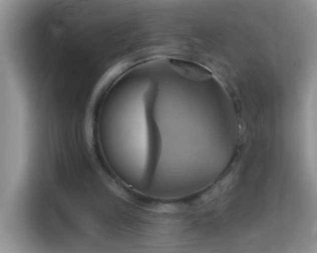 X0000114100149200910051452