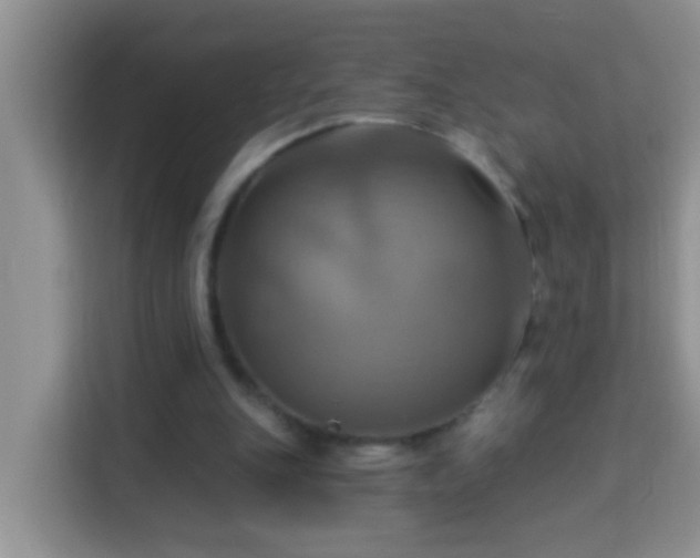 X0000114100151200910051452