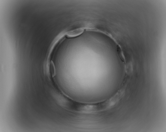 X0000114100152200910051452