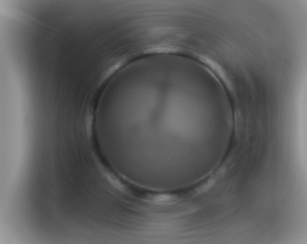 X0000114100153200910051452