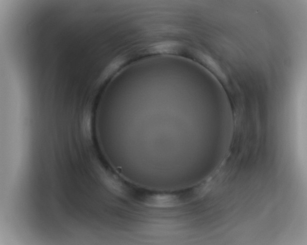 X0000114100154200910051452