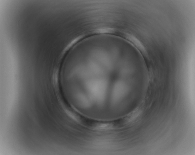 X0000114100155200910051452