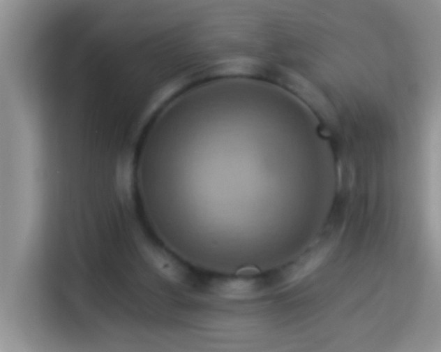 X0000114100156200910051452