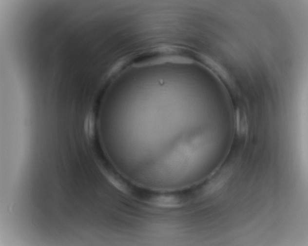 X0000114100157200910051452