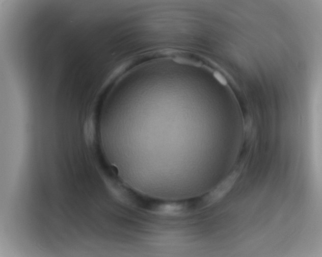 X0000114100158200910051452