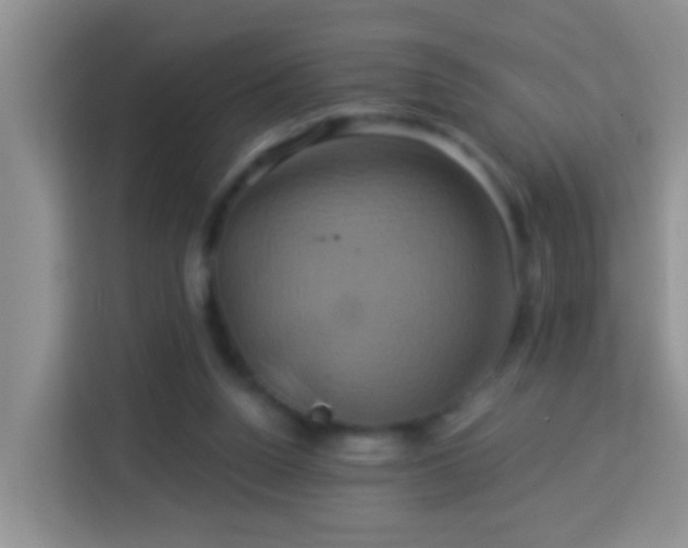 X0000114100160200910051452