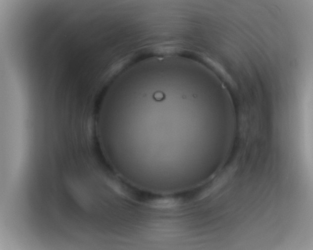 X0000114100161200910051452