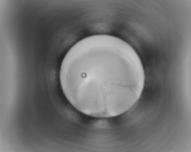 X0000114100162200910051452