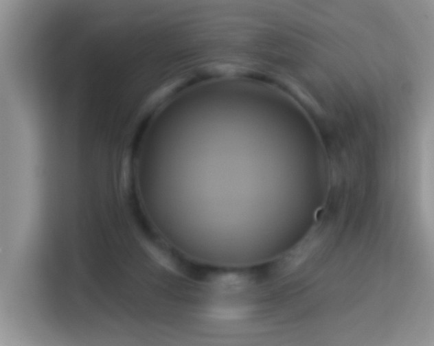 X0000114100163200910051452