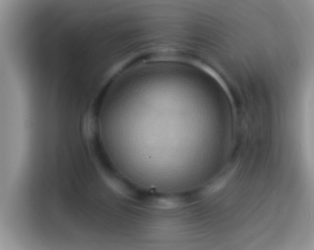 X0000114100164200910051452