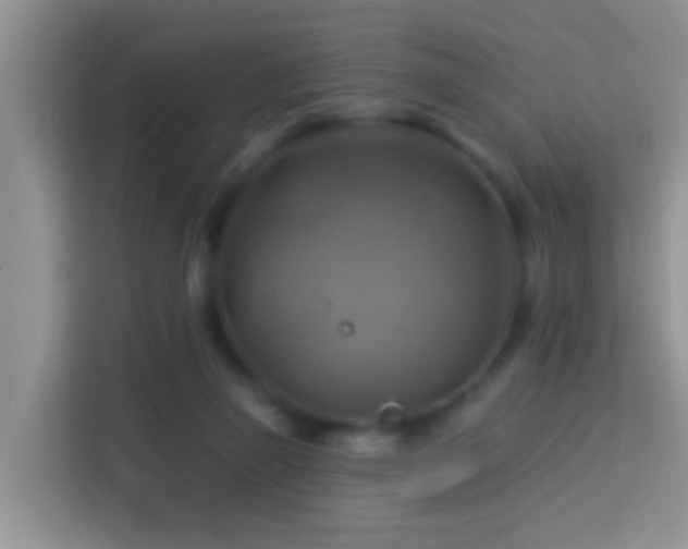 X0000114100165200910051452