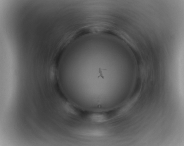 X0000114100169200910051452