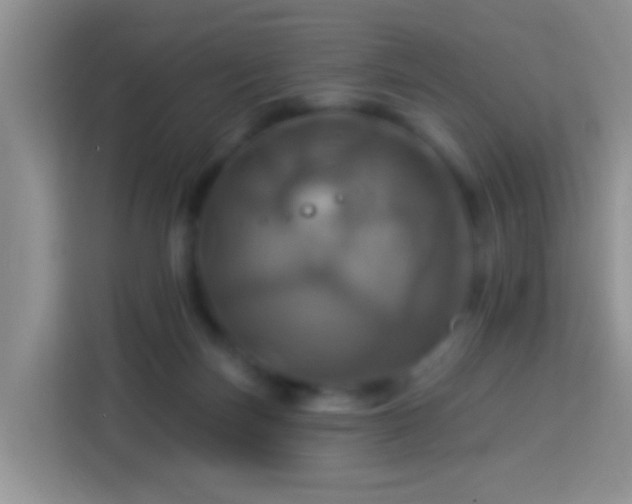 X0000114100171200910051452