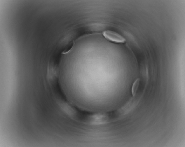 X0000114100172200910051452