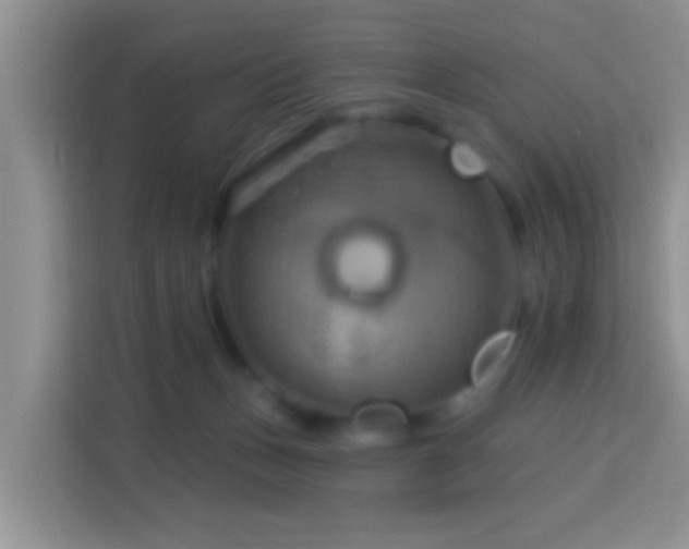 X0000114100175200910051452