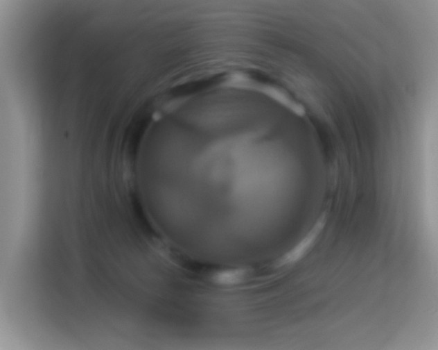 X0000114100178200910051452