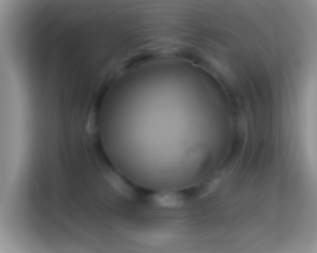 X0000114100181200910051452