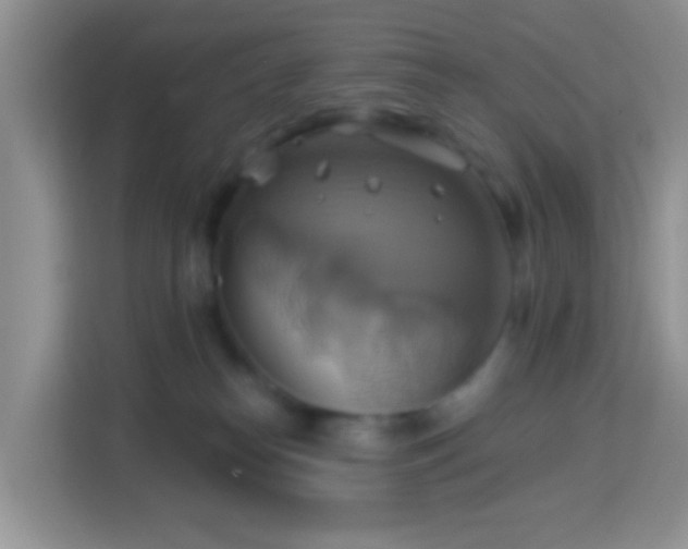 X0000114100182200910051452