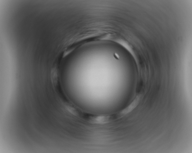 X0000114100184200910051452