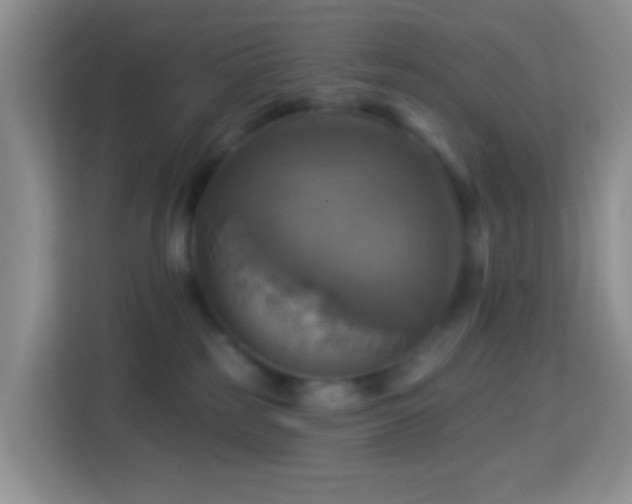 X0000114100185200910051452