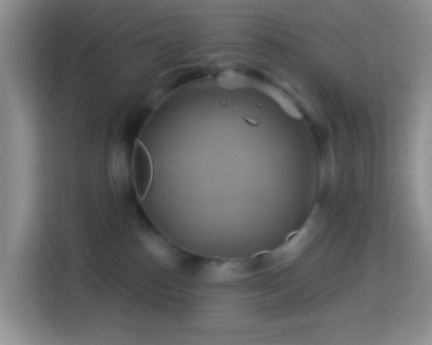 X0000114100186200910051452