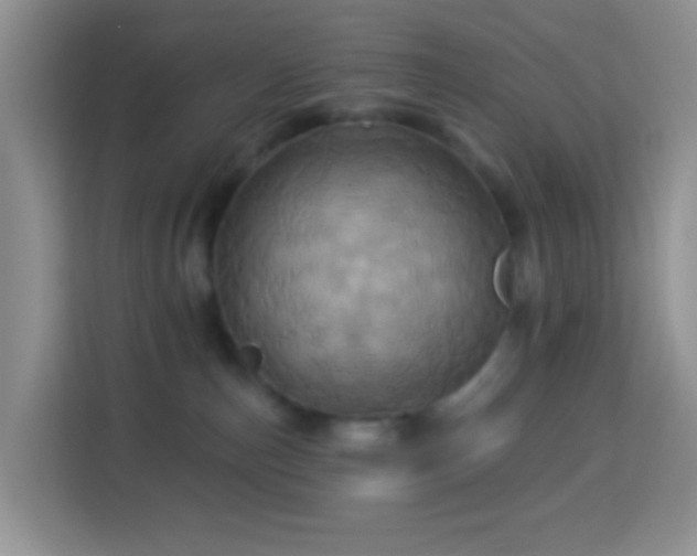 X0000114100187200910051452