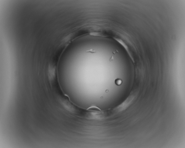 X0000114100188200910051452