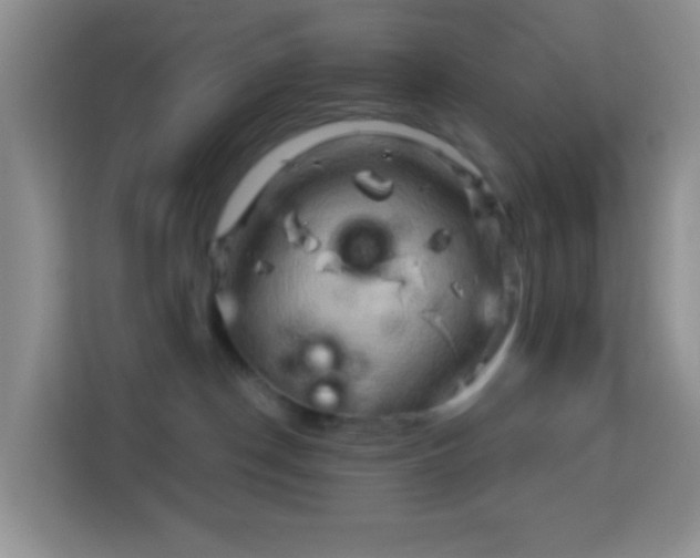 X0000114100190200910051452