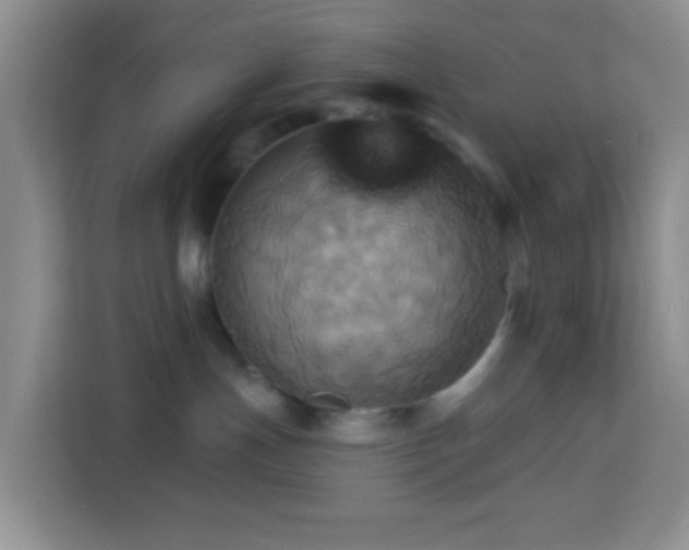 X0000114100191200910051452