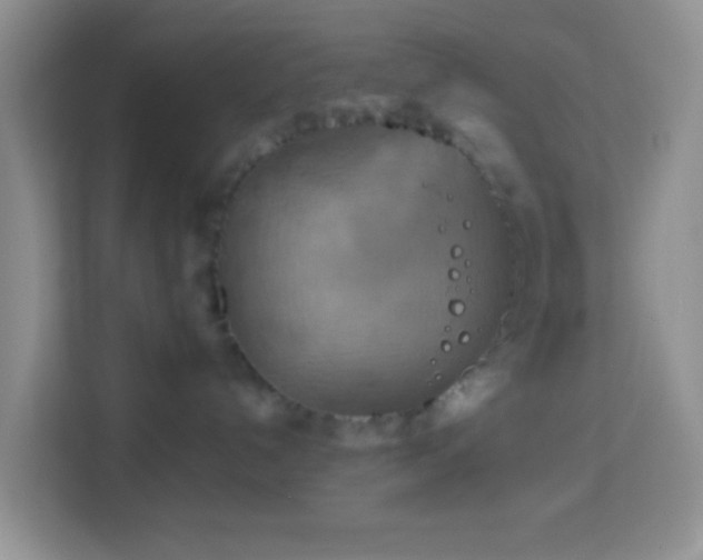 X0000114100192200910051452