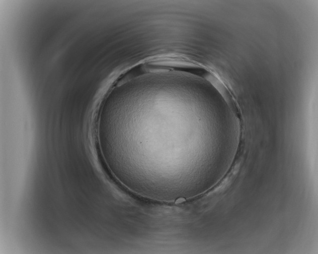 X0000114100193200910051452