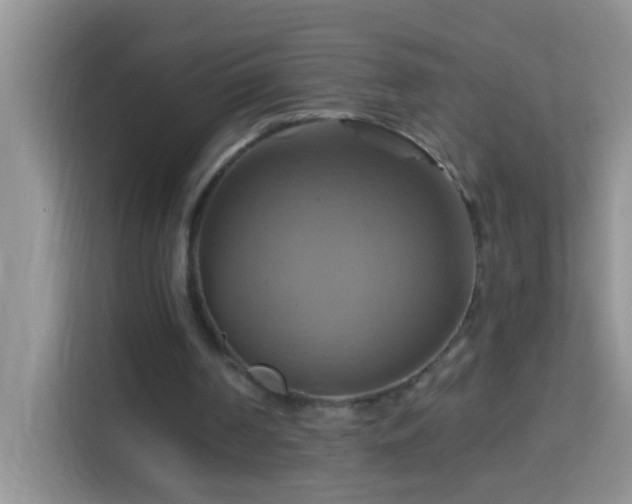 X0000114100194200910051452