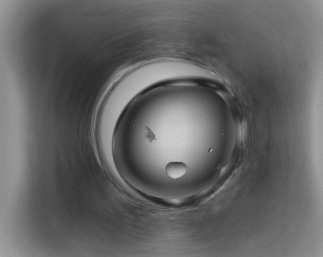 X0000114100195200910051452