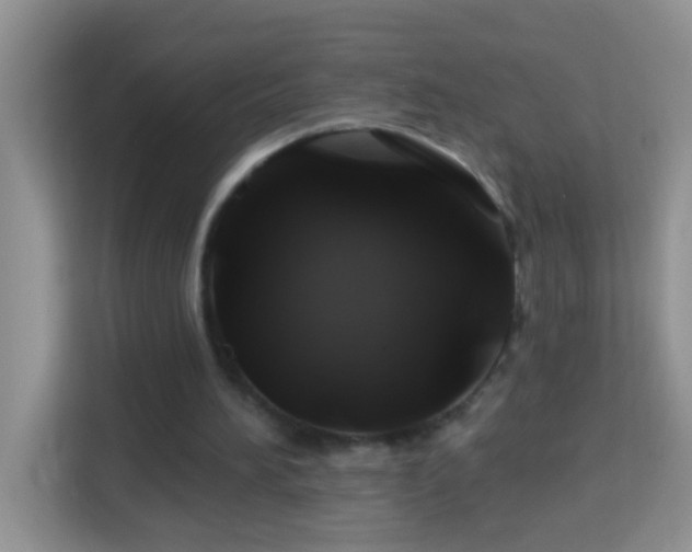 X0000114100196200910051452