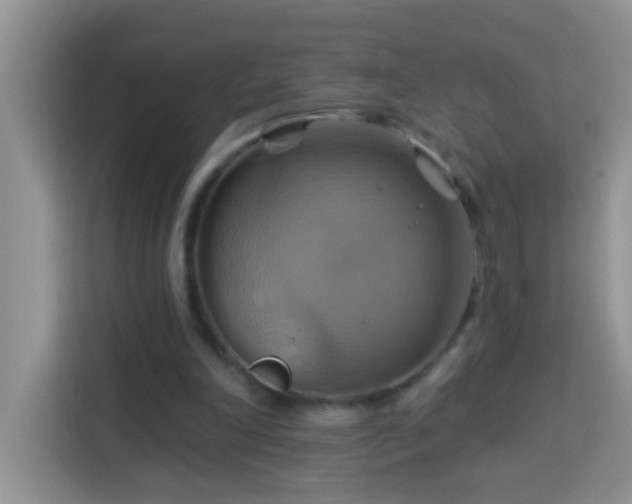 X0000114100198200910051452