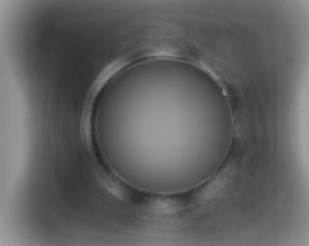 X0000114100199200910051452